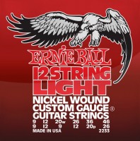 Фото - Струны Ernie Ball Nickel Wound 12-String 9-46 