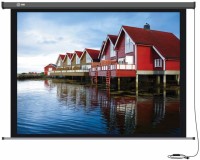 Фото - Проекционный экран CACTUS Professional Motoscreen 299x168