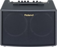 Фото - Гитарный усилитель / кабинет Roland AC-60 