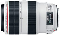 Фото - Объектив Canon 70-300mm f/4.0-5.6L EF IS USM 