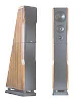 Фото - Акустическая система Chario Constellation Ursa Major