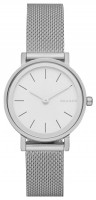 Фото - Наручные часы Skagen SKW2441 