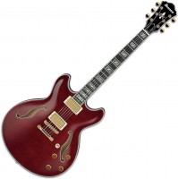 Фото - Гитара Ibanez EKM100