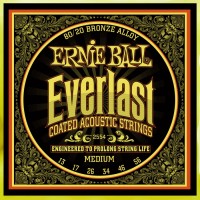 Фото - Струны Ernie Ball Everlast Coated 80/20 Bronze 13-56 