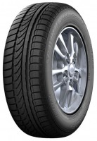 Фото - Шины Dunlop SP Winter Response 185/60 R14 82T 