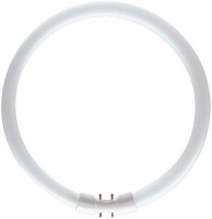 Фото - Лампочка Philips MASTER TL5 Circular 40W 4000K 2GX13 