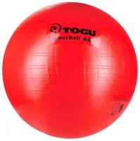 Фото - Мяч для фитнеса / фитбол Togu ABS Powerball 65 