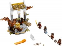 Фото - Конструктор Lego The Council of Elrond 79006 