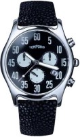 Фото - Наручные часы Temporis T003GS.01
