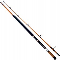 Фото - Удилище Daiwa FT Boat FTB702MF 