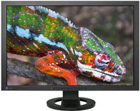 Фото - Монитор Eizo ColorEdge CG243W 24 "  черный