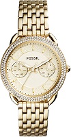 Фото - Наручные часы FOSSIL ES4247SET