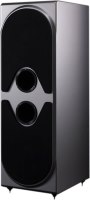 Фото - Сабвуфер Wilson Audio Thor's Hammer