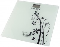 Весы Galaxy GL4800 