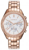 Фото - Наручные часы ESPRIT ES109232003 