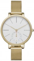 Фото - Наручные часы Skagen SKW2436 