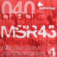 Фото - Струны Galli MSR43