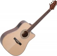 Фото - Гитара Greg Bennett ASDM CE