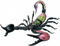 Фото - 3D пазл 4D Master Scorpion Anatomy Model 26113