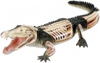 Фото - 3D пазл 4D Master Crocodile Anatomy Model 26114 