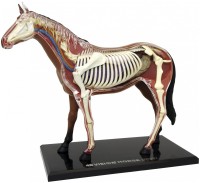 Фото - 3D пазл 4D Master Horse Anatomy Model 26101 