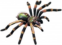 Фото - 3D пазл 4D Master Tarantula Spider Anatomy Model 26112 