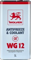 Фото - Охлаждающая жидкость Wolver Antifreeze & Coolant WG12 Ready To Use 5 л