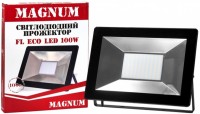 Фото - Прожектор / светильник Magnum FL ECO LED 100