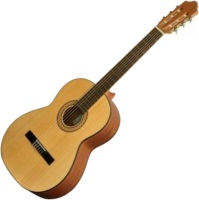 Фото - Гитара Camps SN1S