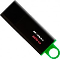 Фото - USB-флешка Kingston DataTraveler 3.1 128Gb 