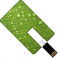 Фото - USB-флешка GOODRAM Plastic Credit Card 16 ГБ