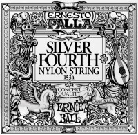 Фото - Струны Ernie Ball Single Nylon Silver Wound 30