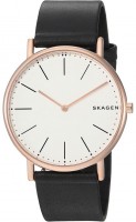 Фото - Наручные часы Skagen SKW6430 