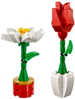 Фото - Конструктор Lego Flower Display 40187 