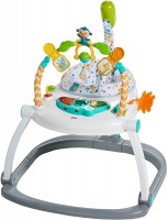 Фото - Ходунки Fisher Price FDG98 