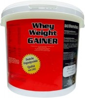 Фото - Гейнер Activevites Whey Weight Gainer 2.5 кг