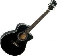 Фото - Гитара Washburn EA12 