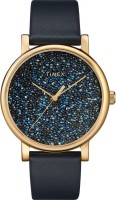Фото - Наручные часы Timex TW2R98100