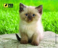 Фото - Коврик для мышки Pod myshku Siamese Kitty
