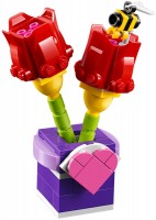 Фото - Конструктор Lego Tulips 30408 