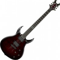 Фото - Гитара Schecter Devil Custom FR