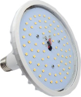 Фото - Лампочка Venom LED NSFS 30W Fito E27