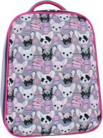 Фото - Школьный рюкзак (ранец) Bagland Turtle 17 144