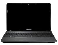 Фото - Ноутбук Packard Bell EasyNote F4211 (F4211-HR-119 LX.BWR0C.013)