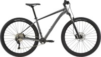 Фото - Велосипед Cannondale Trail 4 29 2020 frame XL 