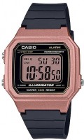 Фото - Наручные часы Casio W-217HM-5A 