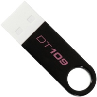 Фото - USB-флешка Kingston DataTraveler 109 4Gb 