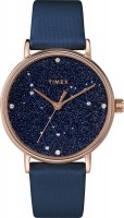 Фото - Наручные часы Timex TW2T87800