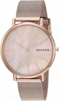 Фото - Наручные часы Skagen SKW2732 