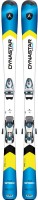 Фото - Лыжи Dynastar Team Speed 100 (2013/2014)